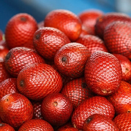 Why You Should Be Using Buriti Oil in Your Skincare Regimen