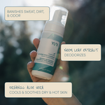 Flash Bath NO-RINSE BODY CLEANSER foam Ingredients