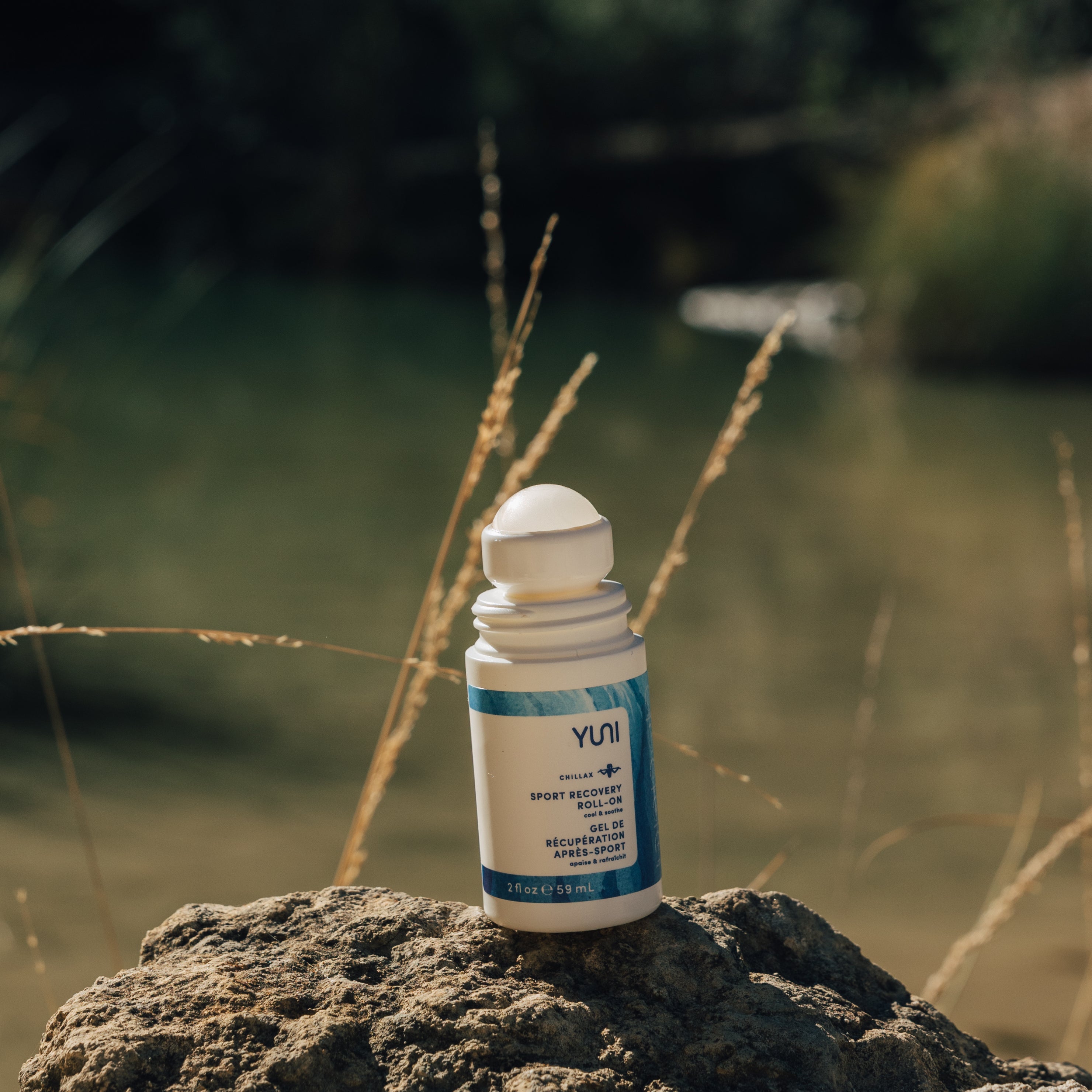 How Does Arnica Work? Exploring Nature's Remedy  for Aches and Pains