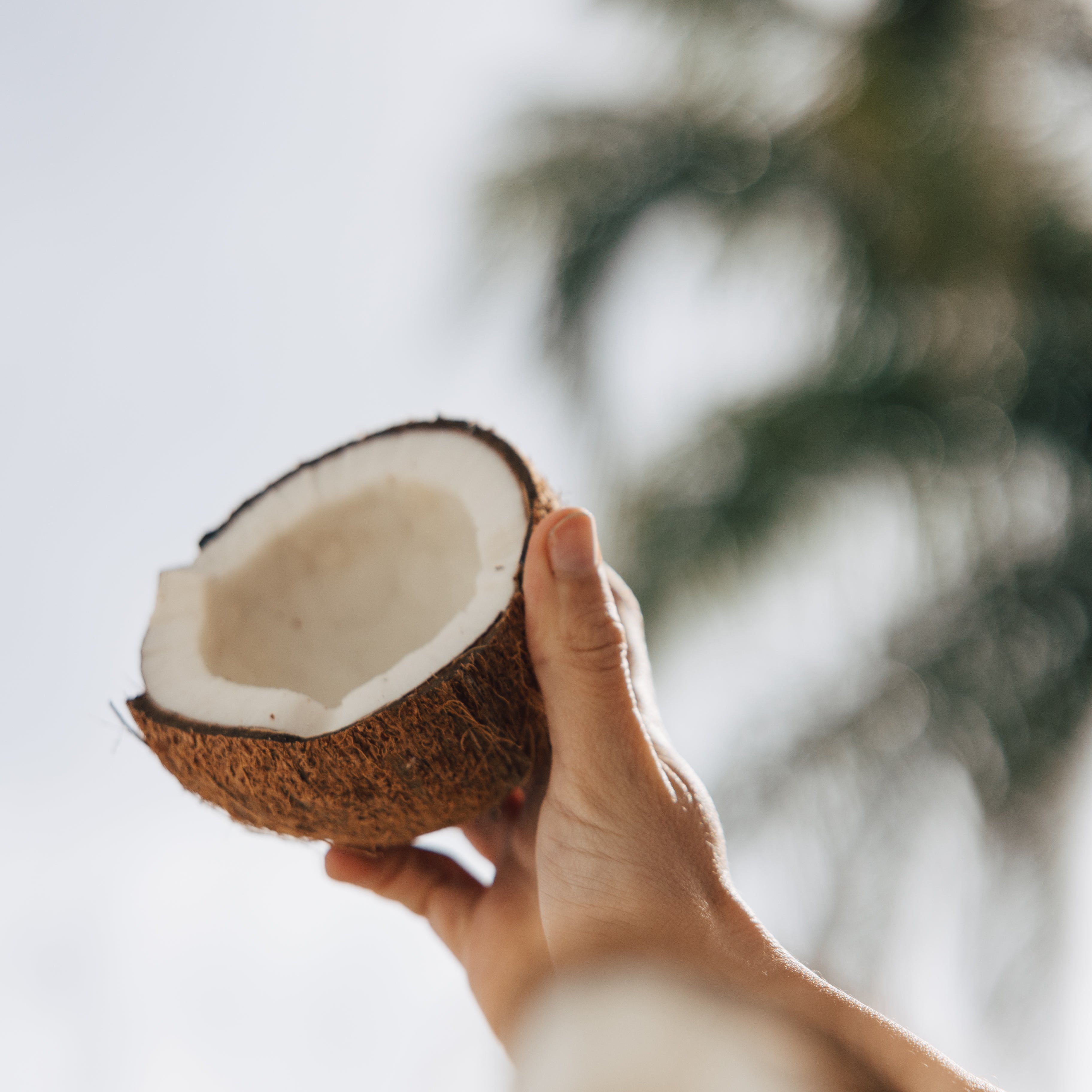 Is Coconut Oil Good for Skin?