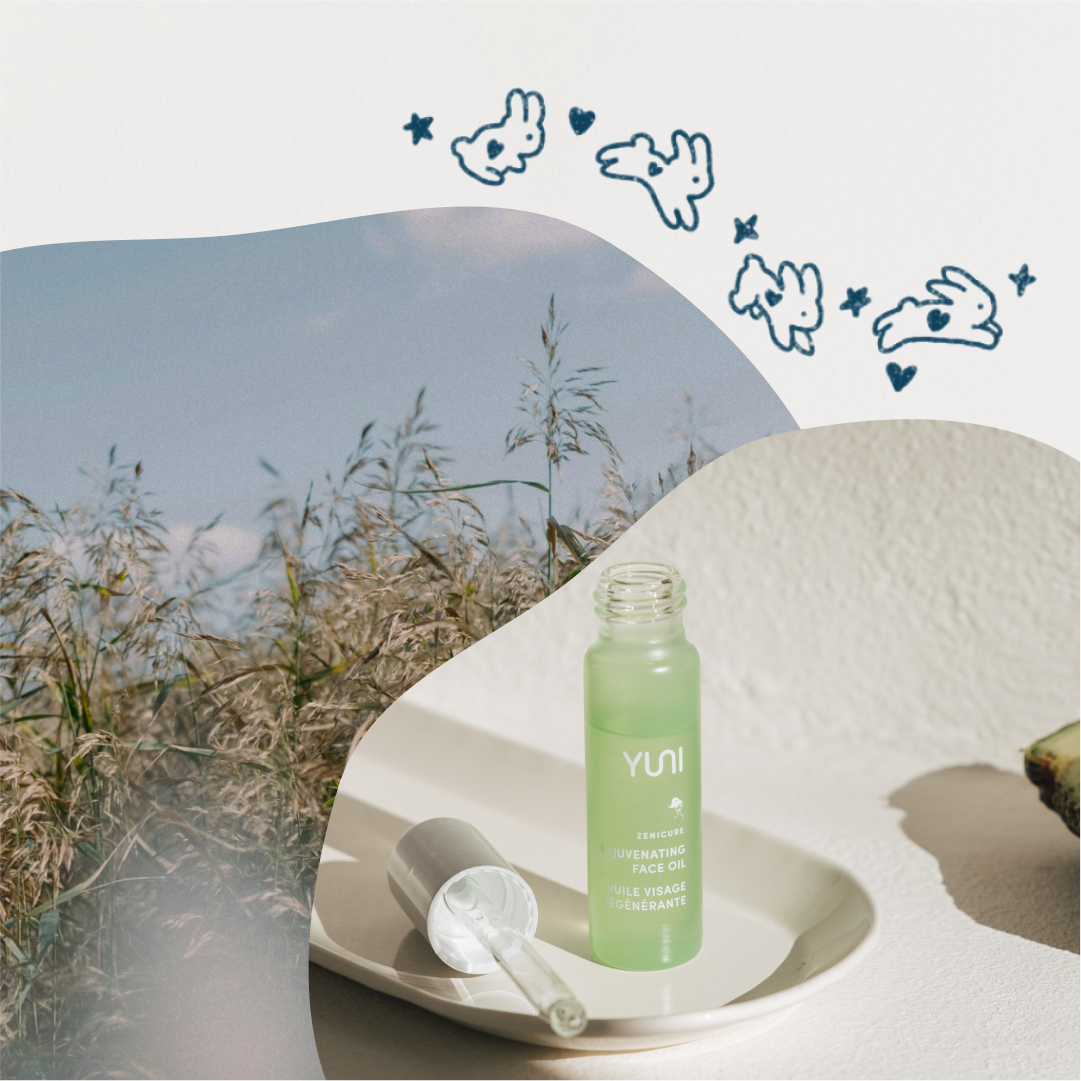 Cruelty-Free Beauty: Navigating Ethical Skincare Choices