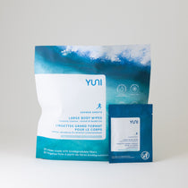 Shower Sheets LARGE BODY WIPES 12x10 natural biodegradable body wipes – Bag of 30 Peppermint Citrus