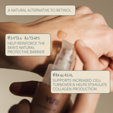 Sleepy Beauty BAKUCHIOL + BIOTIC SERUM ingredients