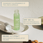 Zenicure REJUVENATING FACIAL OIL ingredients